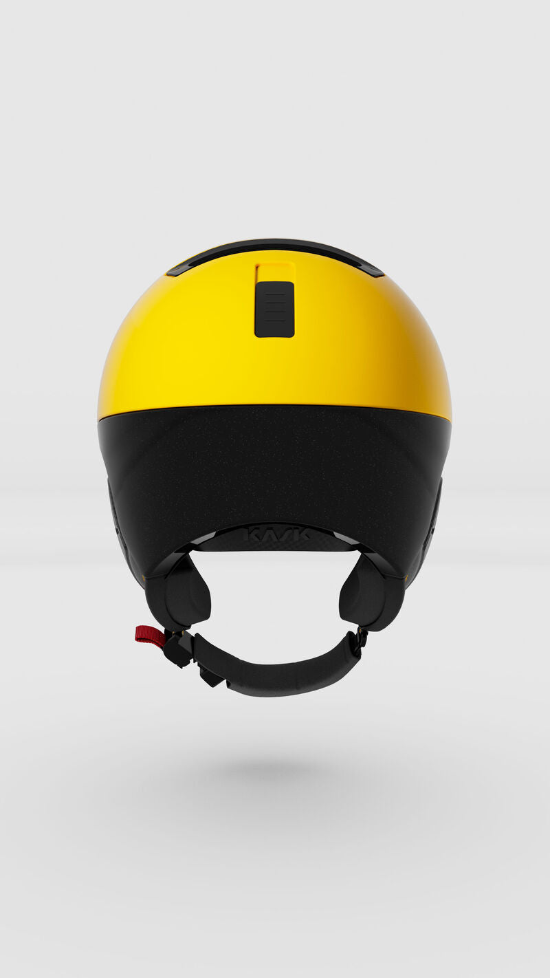 Montecarlo Visor